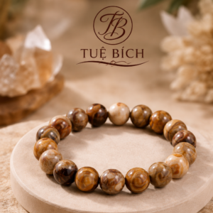 Vòng gỗ hóa thạch